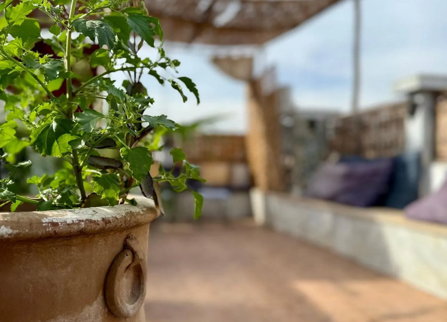 Riad Flottement Des Songes Marrakesh