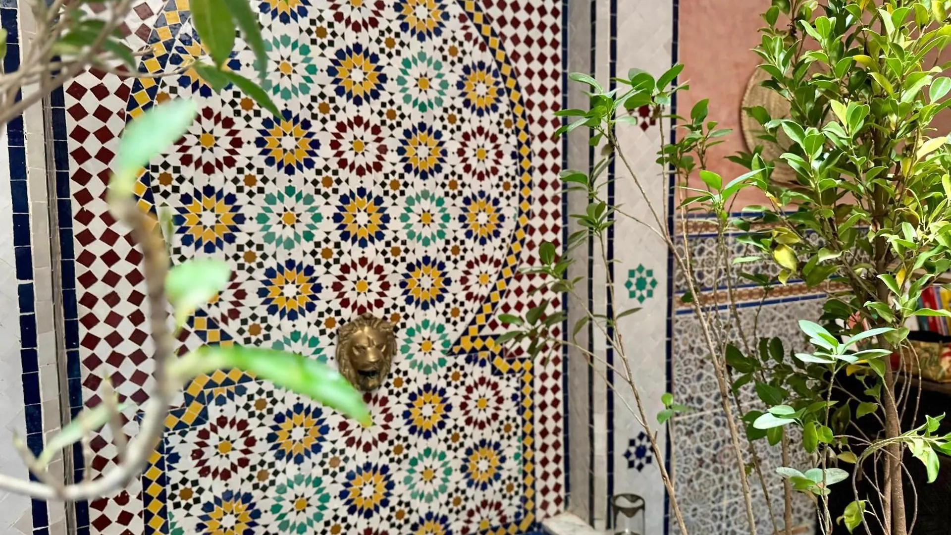 Riad Flottement Des Songes Marrakesh Marruecos